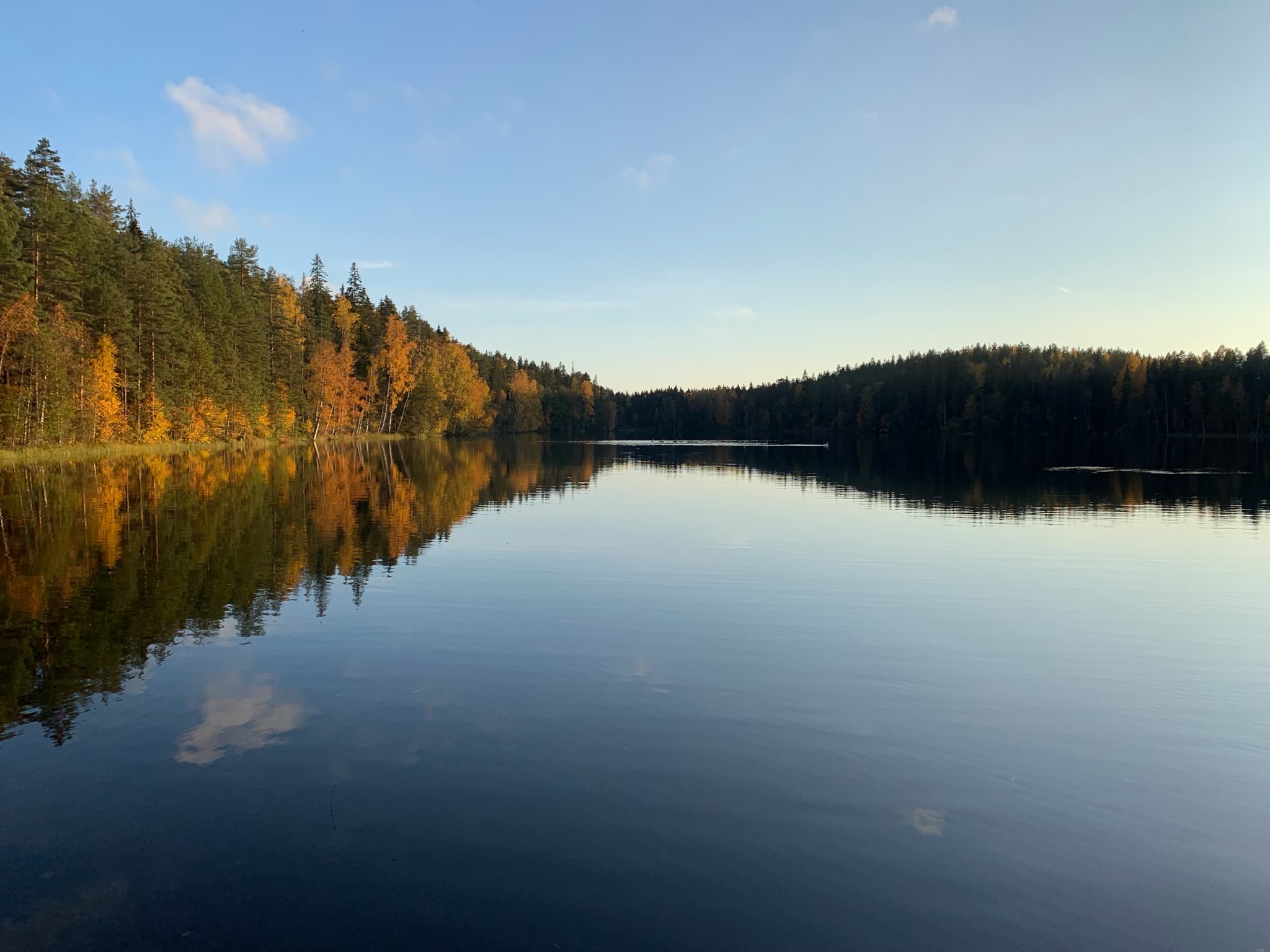 Uuden kuun unelmat retriittipäivä