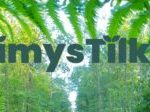 ElämysTilkku logo